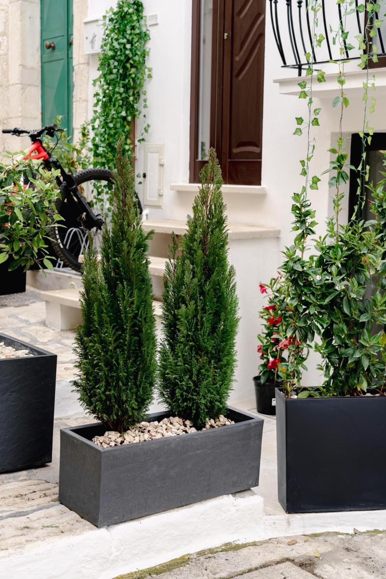 La Maison - Private Wellness Ostuni Exteriör bild